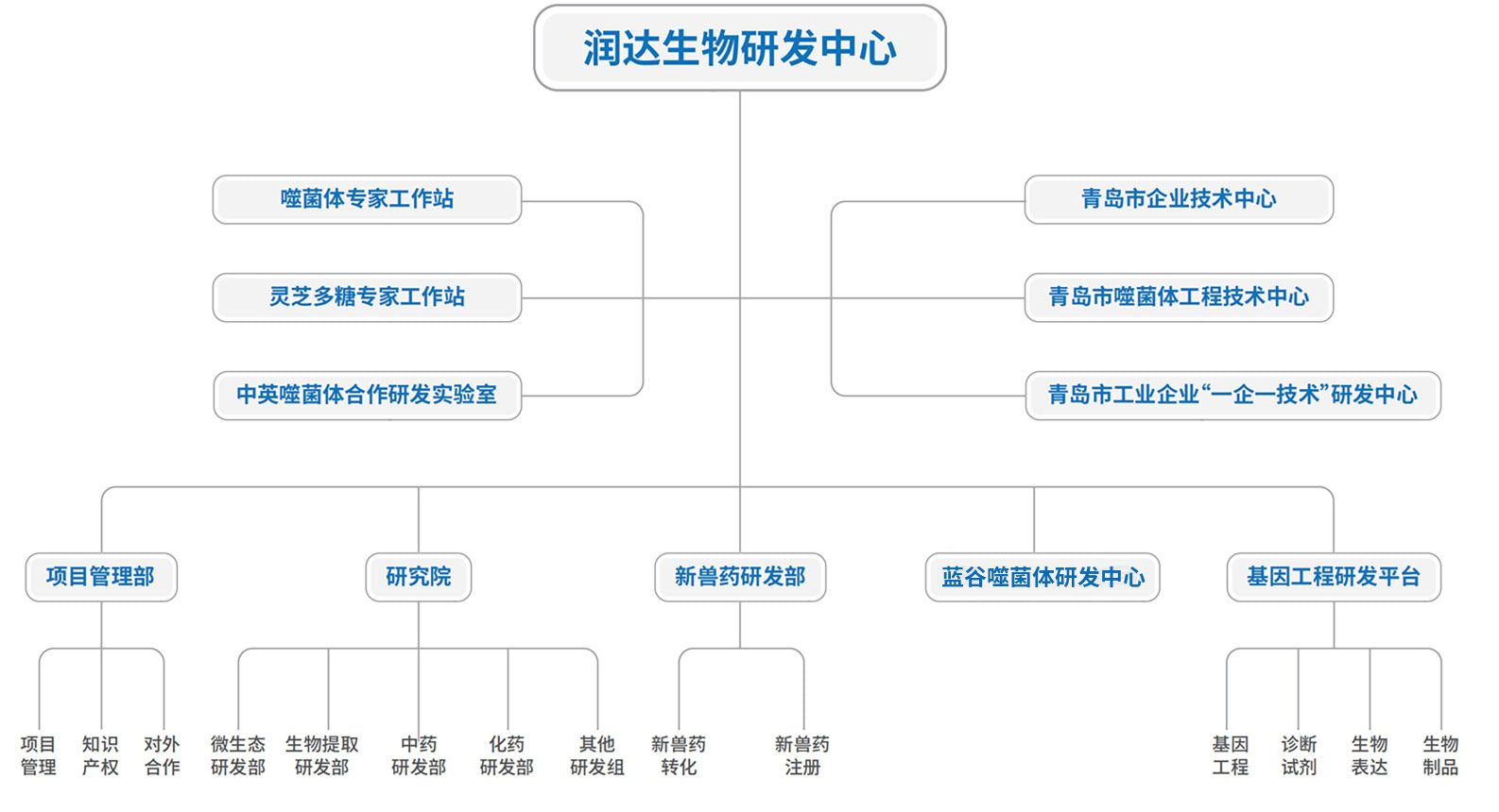 鸿禾娱乐（中国）有限公司